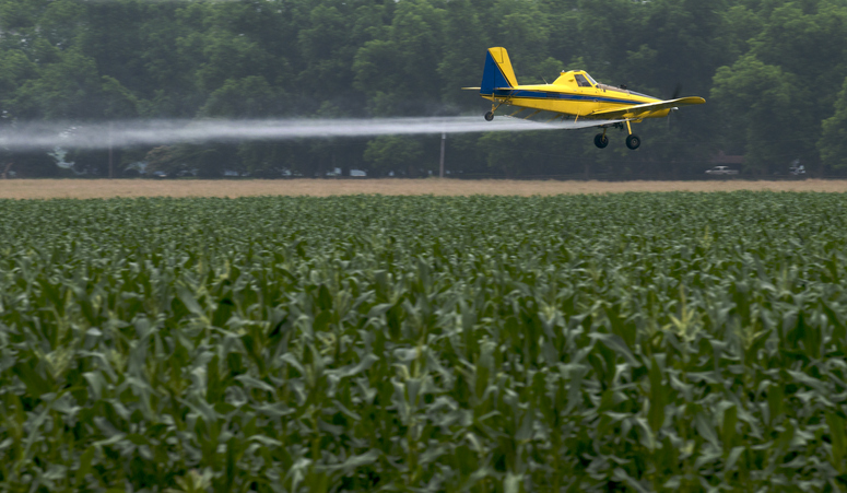 Maximizing The Utility Of Soybean & Corn Foliar Fungicide Applications