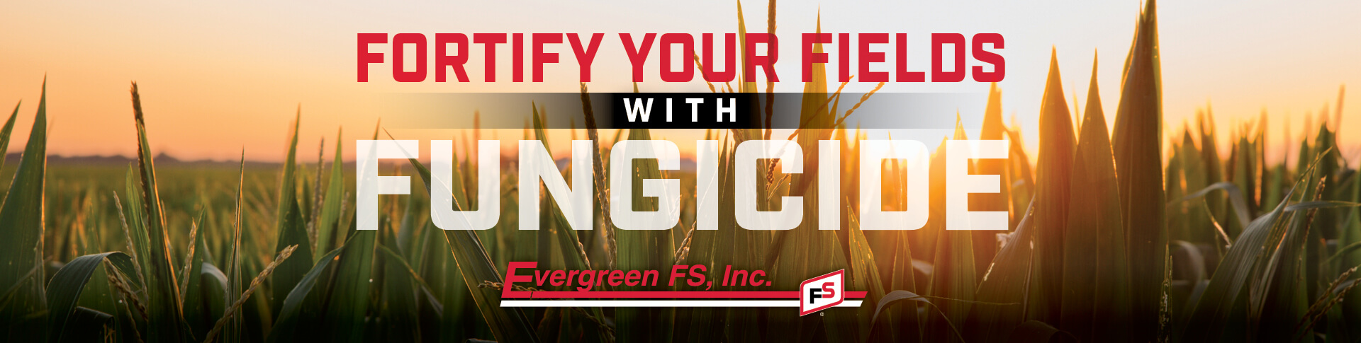 Fortify-Your-Fields-with-Fungicide-Evergreen-FS